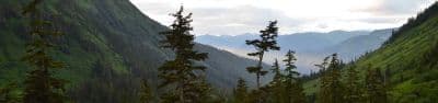Dan Moller Cabin