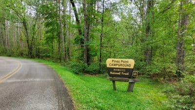 Pines Point Campground (MI)