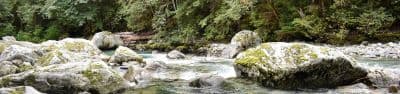 Upper Goodell Group Campground