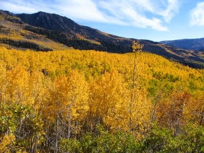 Tushar Lakeside Campground