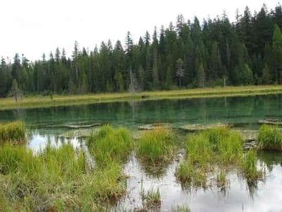Clackamas Lake Campground
