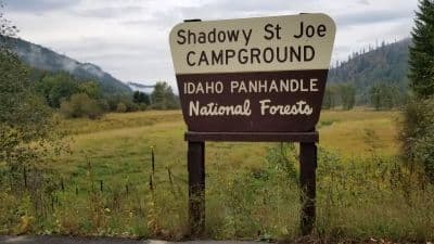 Shadowy St. Joe
