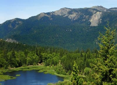 Fuller Grove Group Campground