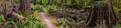 Newhalem Creek Campground