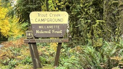 Trout Creek Campground - Willamette (OR)