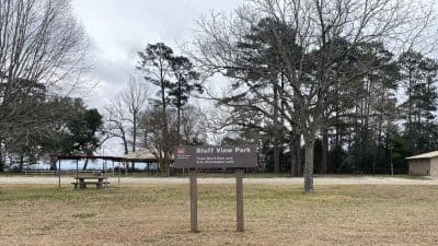 Bluffview Park